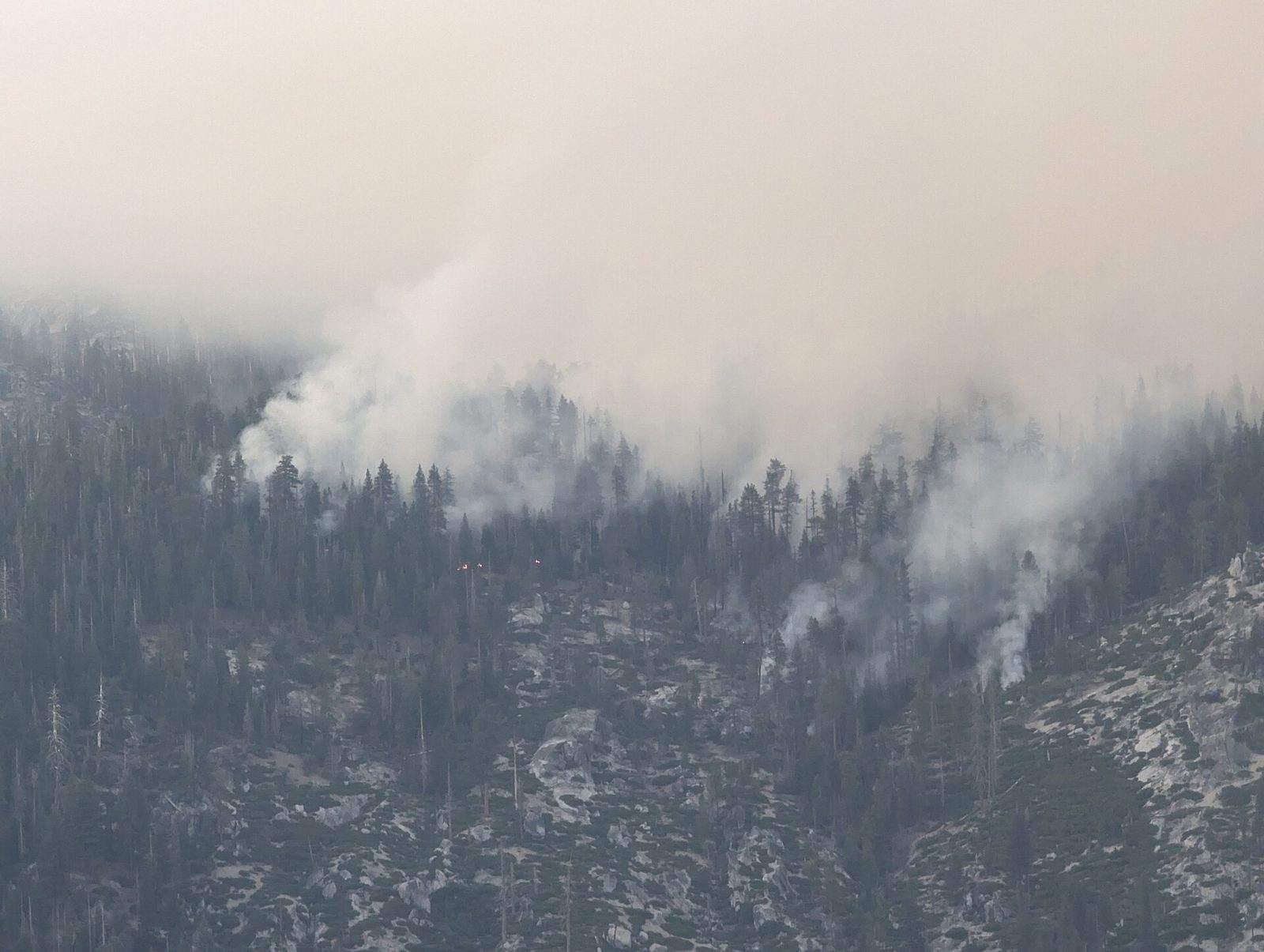 Flames of the Pika Fire burning in Yosemite National Park in 2023