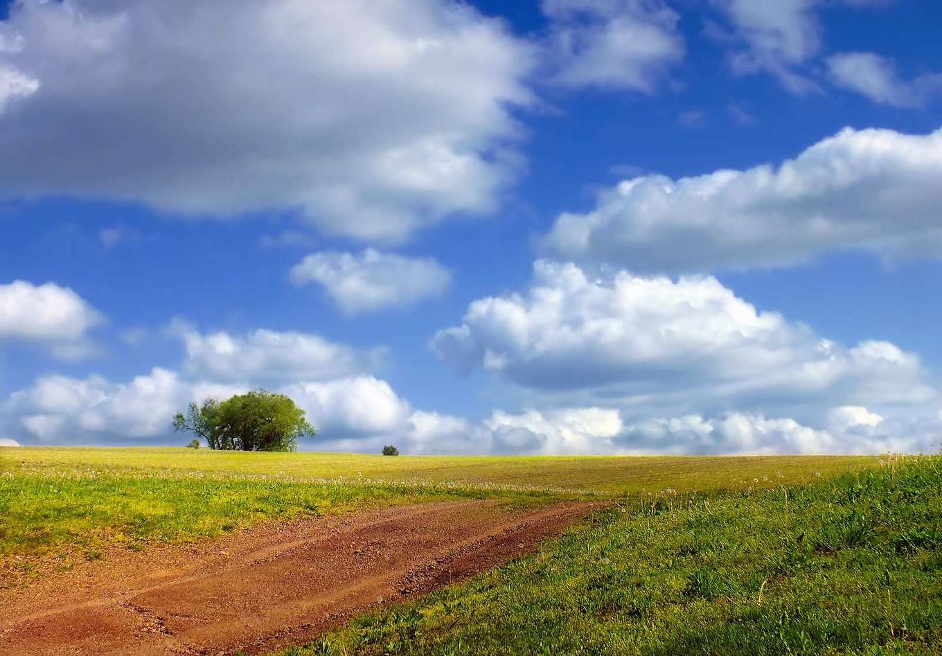 White cumulus clouds over a green grass field