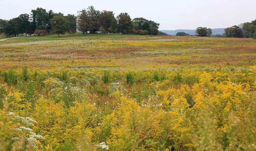 A grassy meadow below a natural rock arch