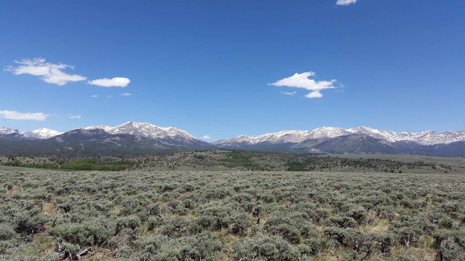 A sagebrush steppe stretching toward the Wind River Range