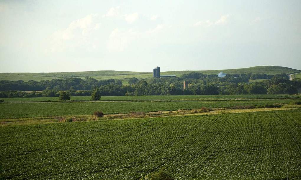 Open farmland in Kansas in the ragweed belt